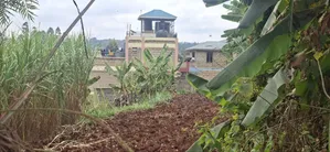 50×100 Residential Plot for Sale – Kabete Cuba, Kiambu County |