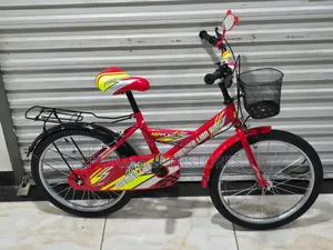 Lion King Kid's Bicycle Size 20
