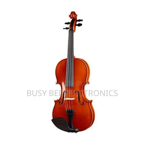 Violin Four by Four