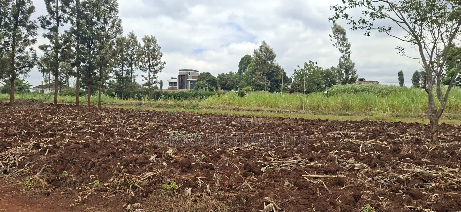 50×100 Residential Plots for Sale – Kabete Gathiga | KSH 8.3m Each