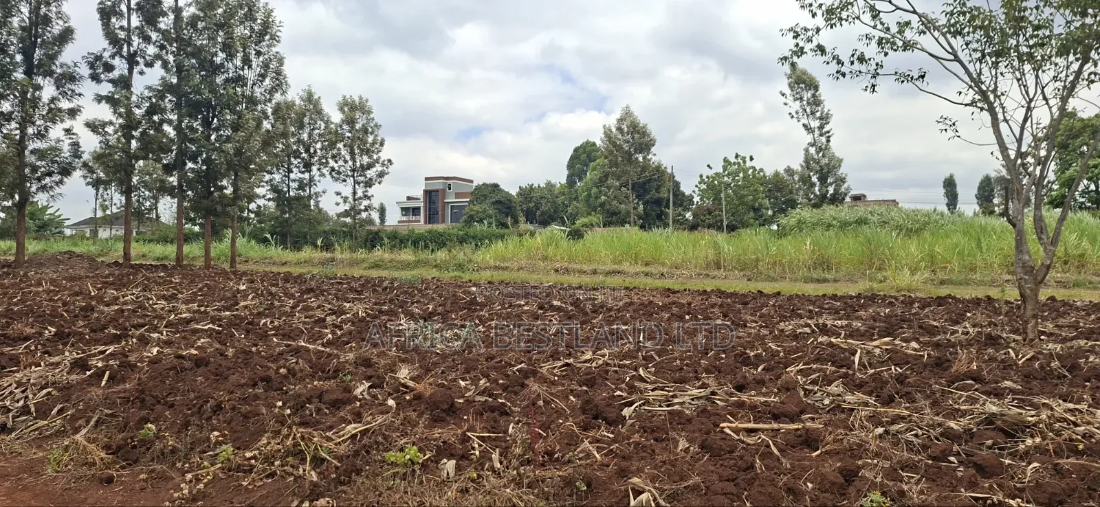 50×100 Residential Plots for Sale – Kabete Gathiga | KSH 8.3m Each