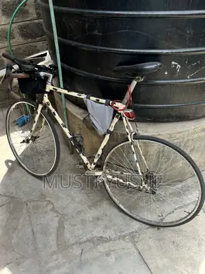 Customised Road Bike