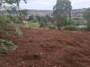 DEAL PLOT SALE;100×100 Plot at Kamangu,MIGUMOINI