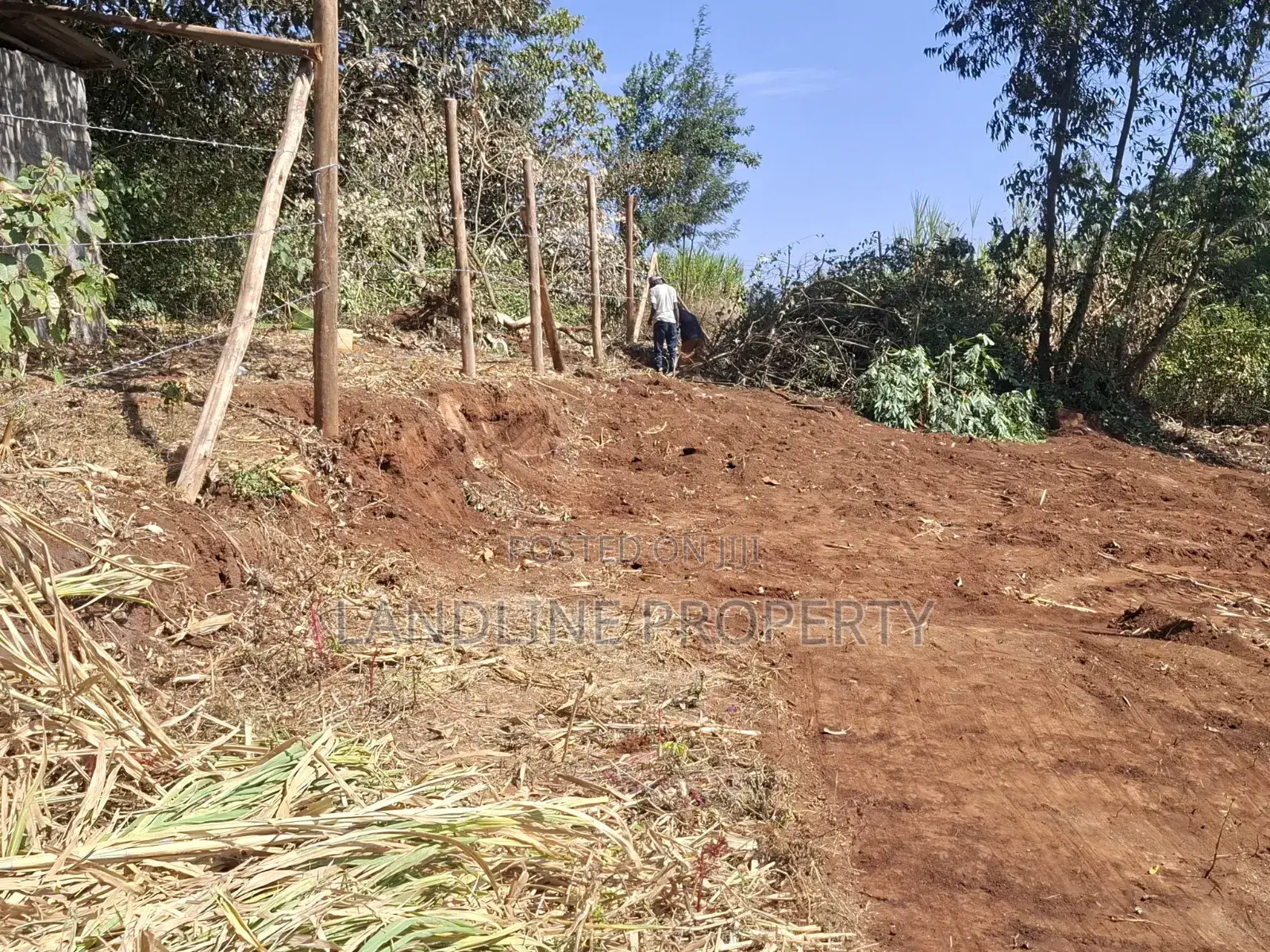 DEAL PLOT SALE;100×100 Plot at Kamangu,MIGUMOINI