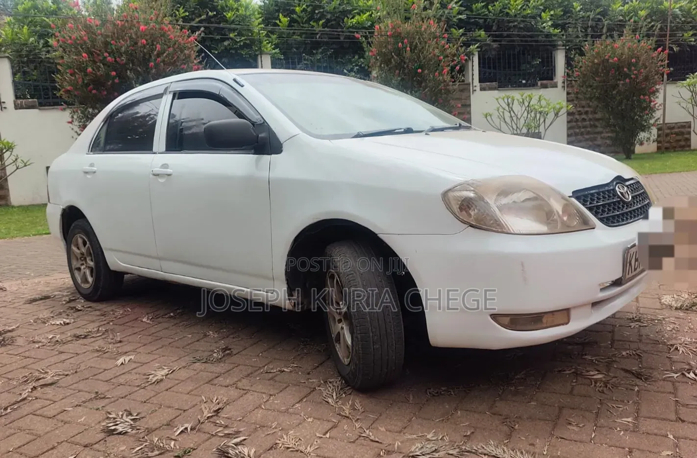Toyota Corolla 2004 White