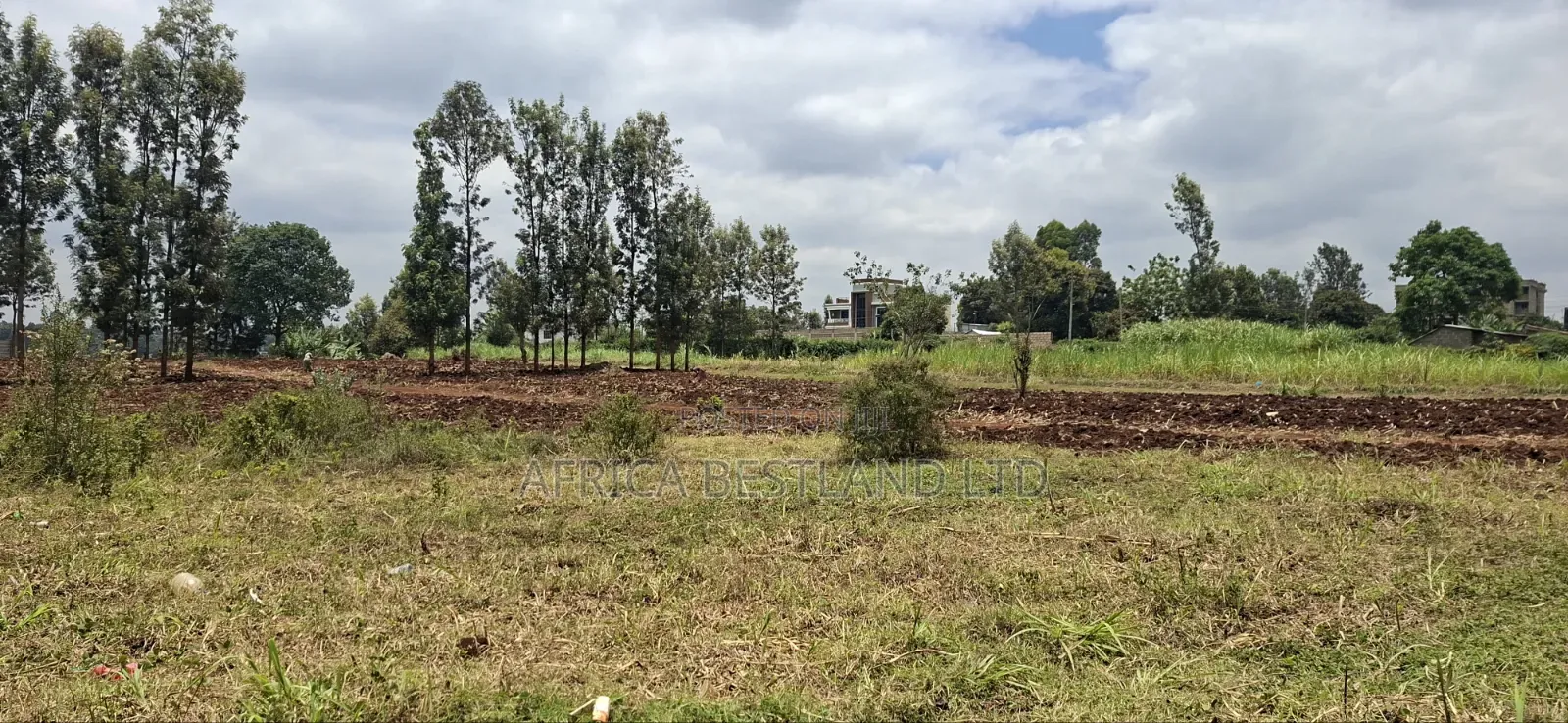 110×100 Plot for Sale – Kikuyu Gikambura |