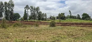 110×100 Plot for Sale – Kikuyu Gikambura |