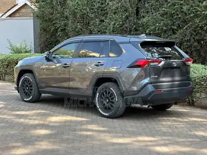 Toyota RAV4 2019 Gray