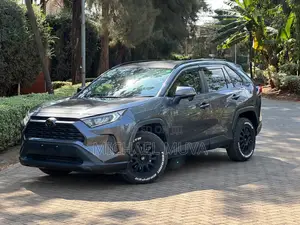 Toyota RAV4 2019 Gray