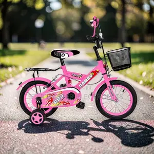 Everyday-Essential 4–6 Years Size 16 Inch Color Pink Kids Bike Bicycle