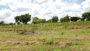 Matuu/ Kivandini 50*100