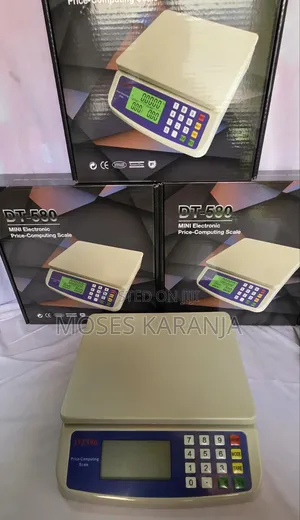 DT-580 30KG Digital Weighing Scale