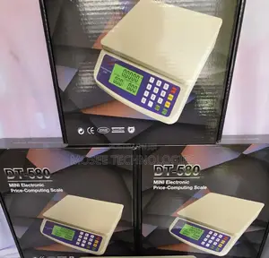 DT-580 30KG Electronic Weighing Scale