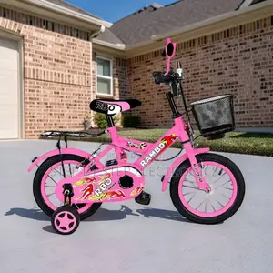 Adventure-Ready 4–6 Years Size 16 Inch Color Pink Kids Bike Bicycle