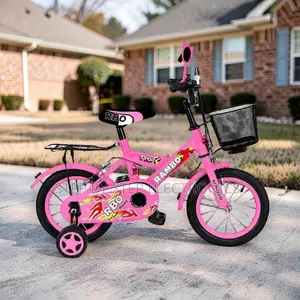 Outdoor-Ready 4–6 Years Size 16 Inch Color Pink Kids Bike Bicycle