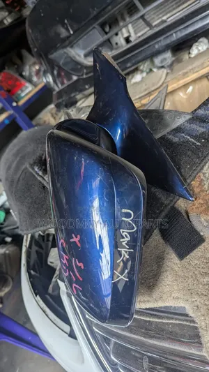 Mark X Old Sidemirror 2005/2007