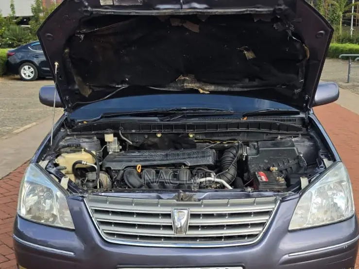 Toyota Premio 2004 Gray