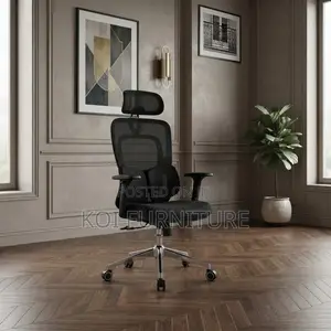 Office Chairs; Orthopedic Executive Seat (Tri-Fold Lumbar Series)