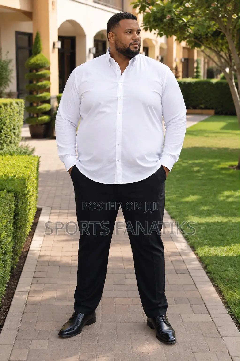 Plus Size Oxford Shirts