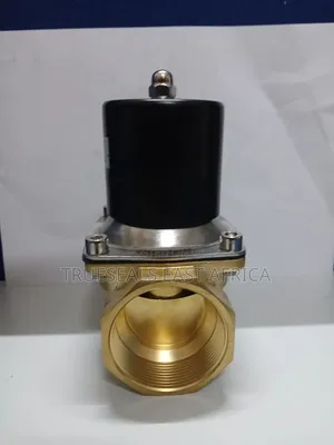1-Inch Brass Solenoid Valve
