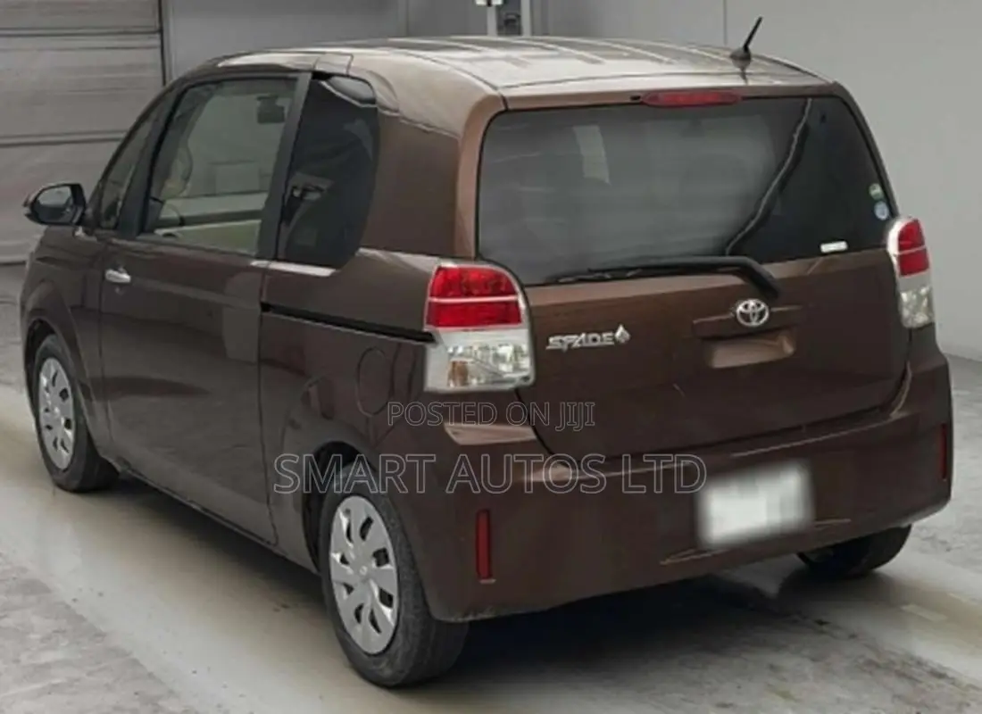 Toyota Spade 2019 Brown