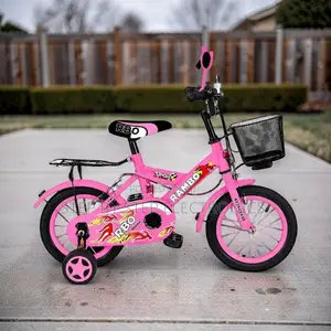 Rust-Resistant 4–6 Years Size 16 Inch Color Pink Kids Bike Bicycle