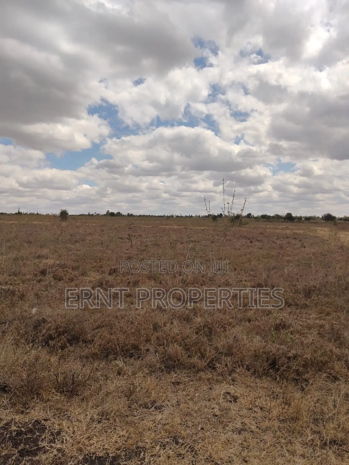Kisaju Prime 10 Acres - Developer's Dream Deal!