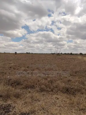 Kisaju Prime 10 Acres - Developer's Dream Deal!
