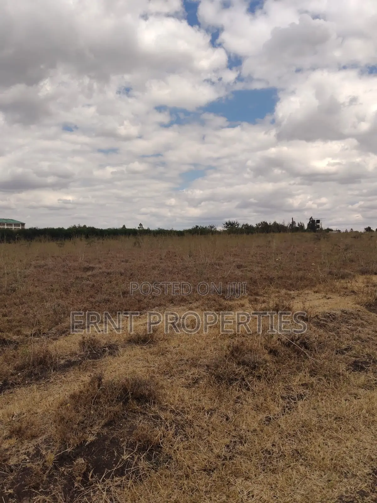 Kisaju Prime 10 Acres - Developer's Dream Deal!