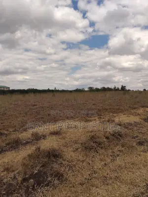 Kisaju Prime 10 Acres - Developer's Dream Deal!