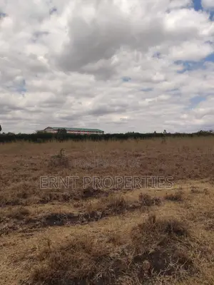 Kisaju Prime 10 Acres - Developer's Dream Deal!