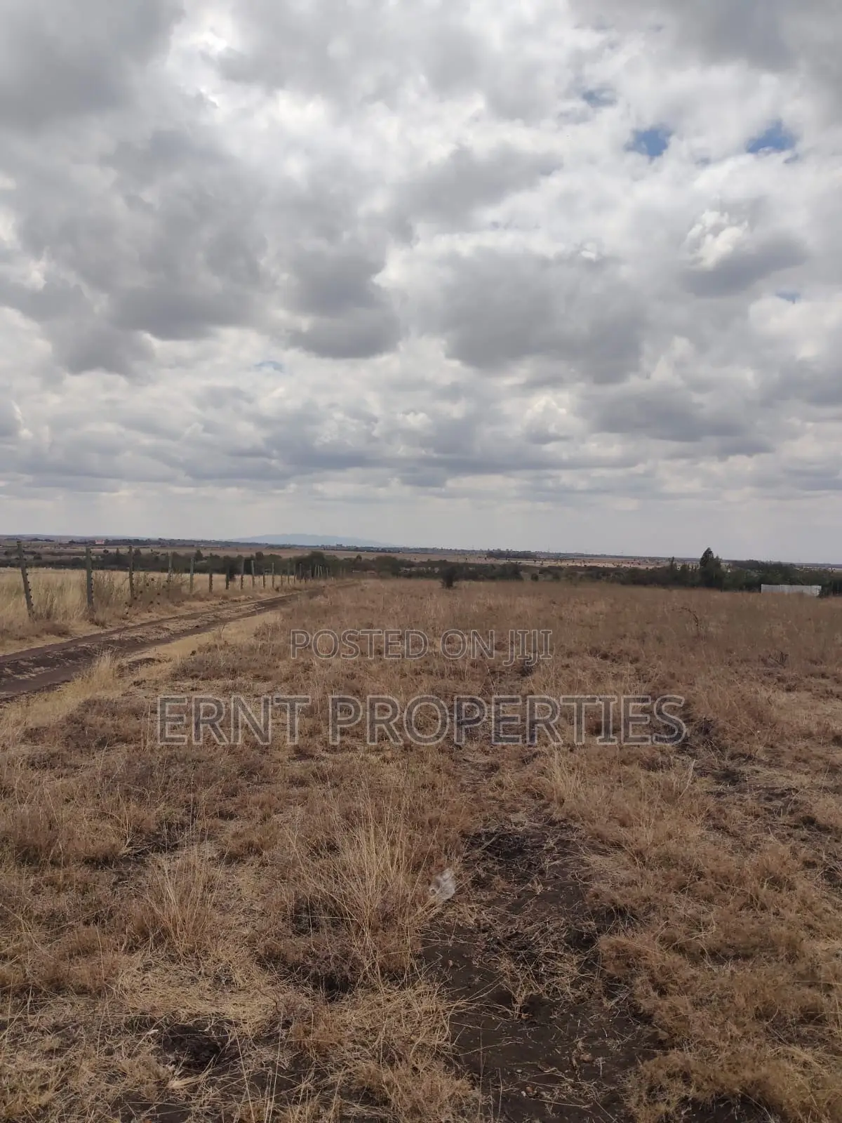 Kisaju Prime 10 Acres - Developer's Dream Deal!