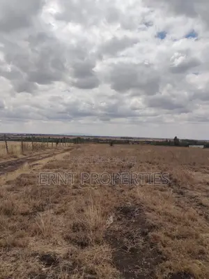 Kisaju Prime 10 Acres - Developer's Dream Deal!