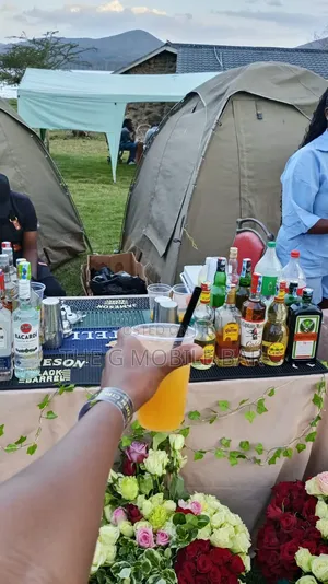 Mobile Mixologist and Bartending