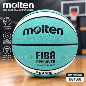 Premium Quality Molten BG4500 Basketball