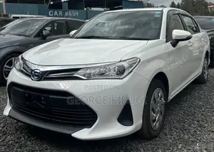 Toyota Axio 2019 White