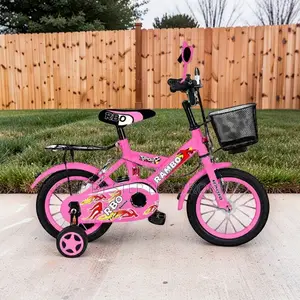 Robust Reliable-Performance 2-4 Yrs 12 Inch Size 12 Kids Bike Bicycle