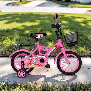 Everyday-Essential 2-4 Years 12 Inch Size 12 Kids Bike Bicycle