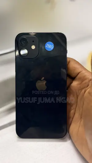 Apple iPhone 12 256 GB Gray