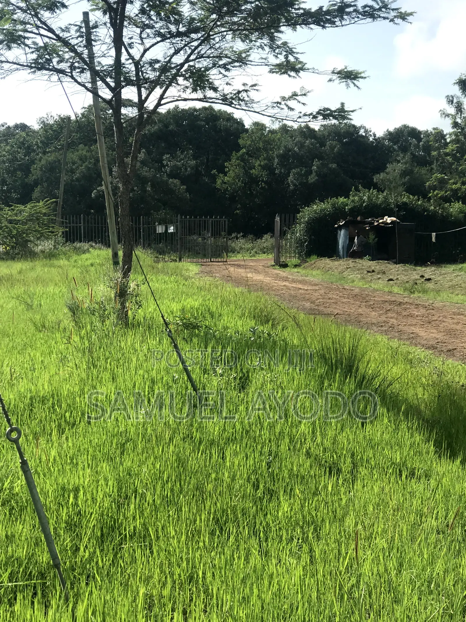 Land for Sale in Karen