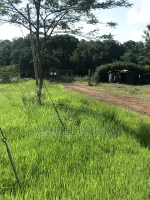 Land for Sale in Karen