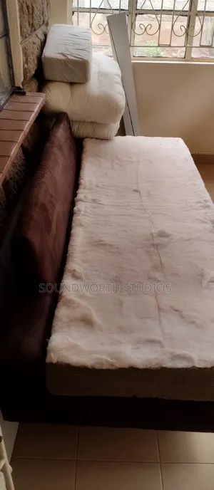 Couch/Day Bed