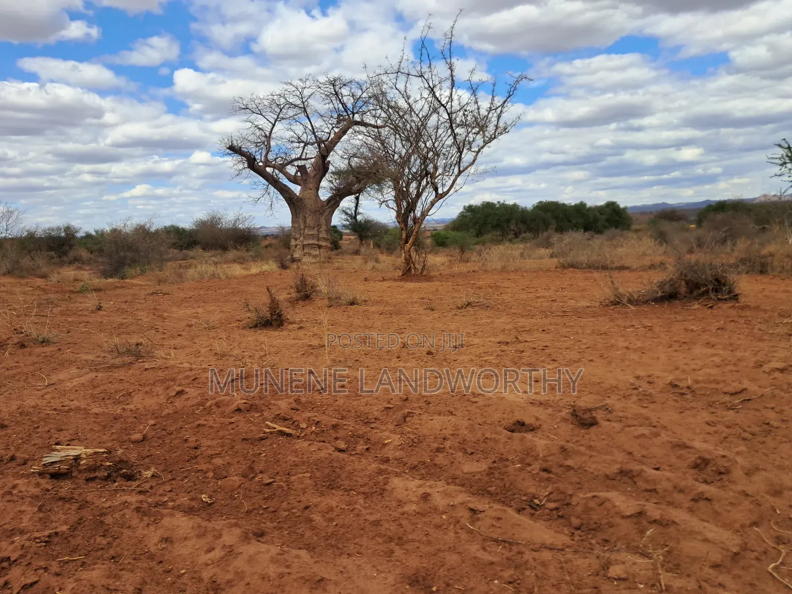 Embu County,Karura 8 Acres Agricultural Farmland.