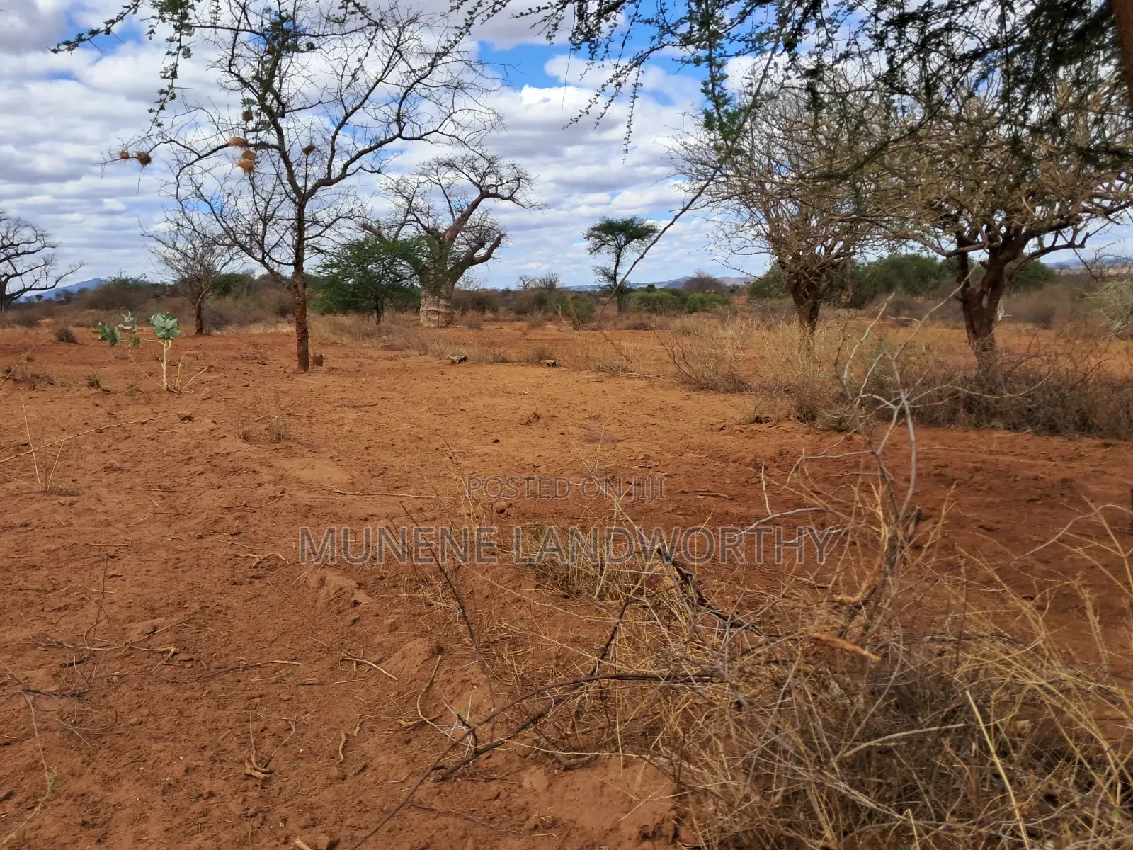 Embu County,Karura 8 Acres Agricultural Farmland.