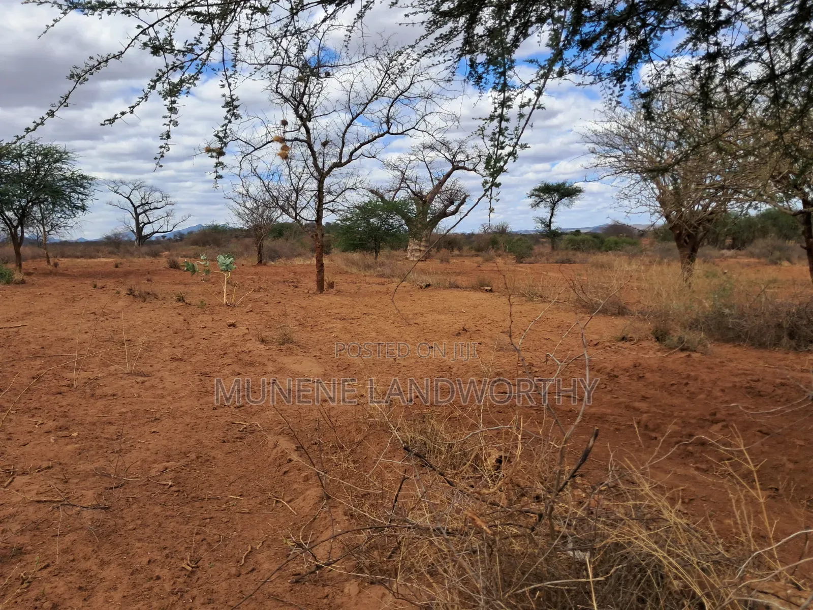 Embu County,Karura 8 Acres Agricultural Farmland.