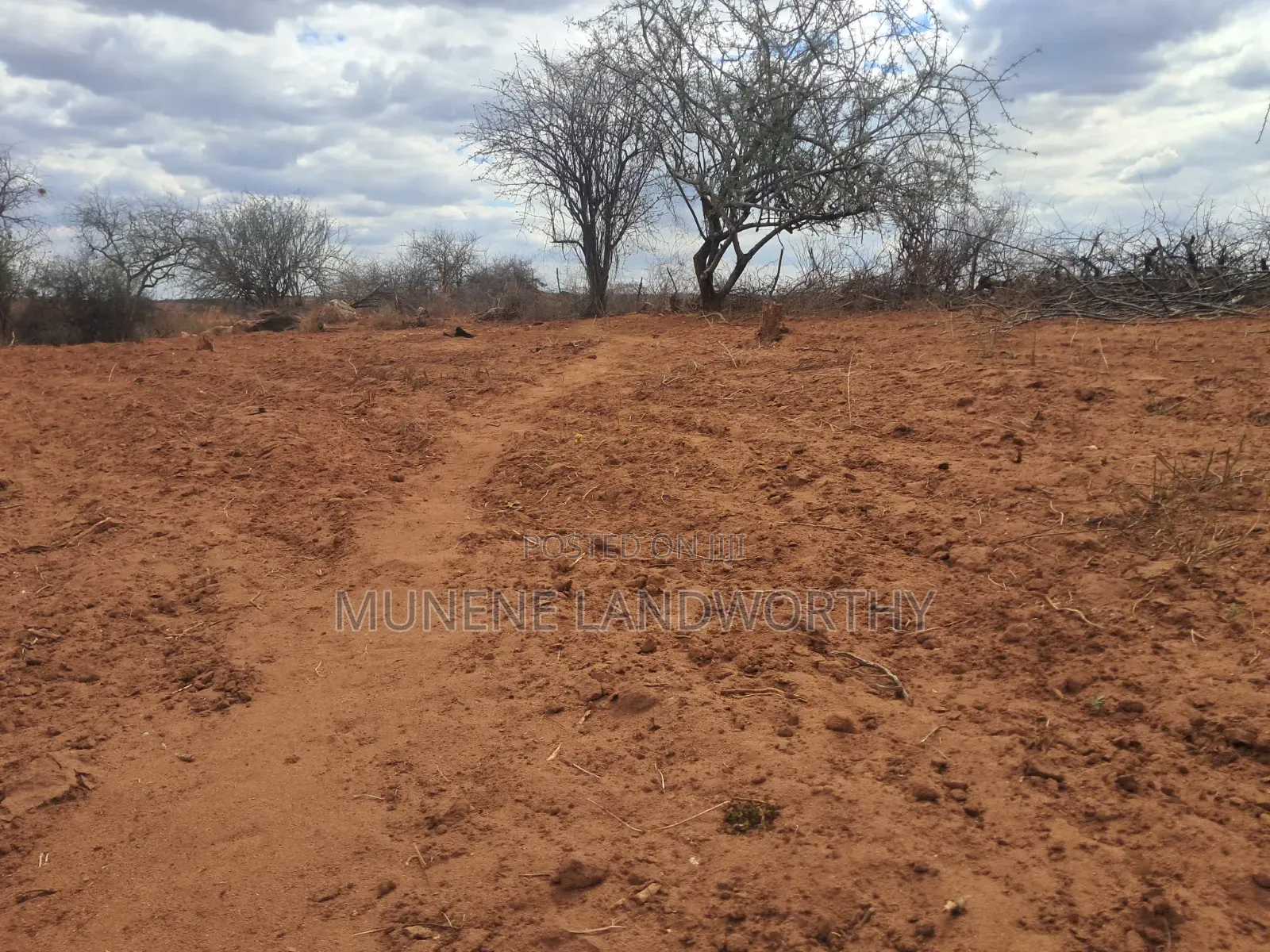 Embu County,Karura 8 Acres Agricultural Farmland.