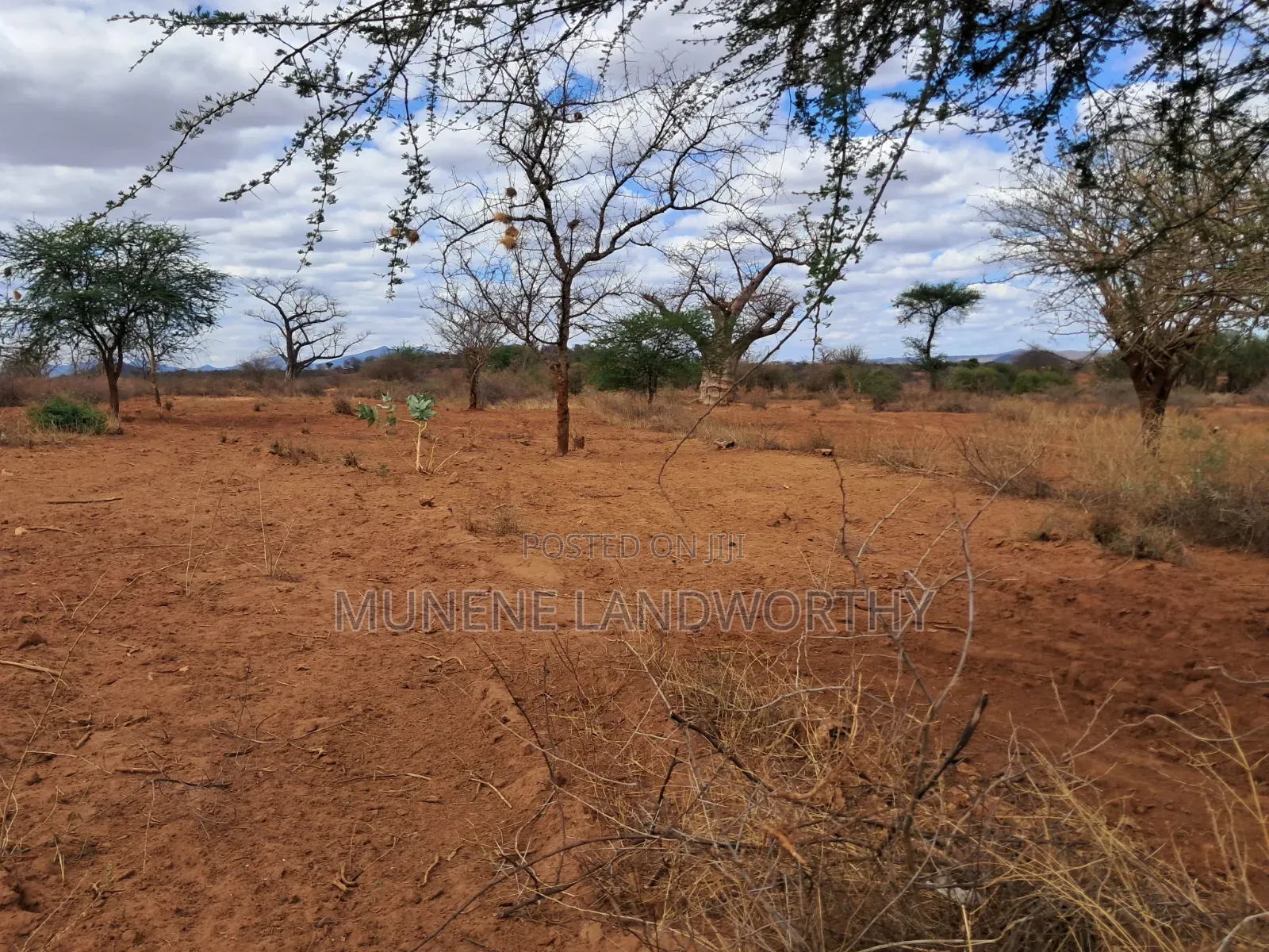 Embu County,Karura 8 Acres Agricultural Farmland.