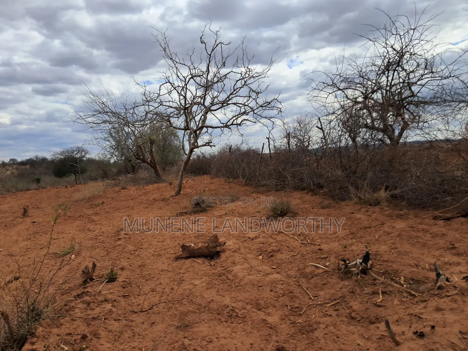 Embu County,Karura 8 Acres Agricultural Farmland.