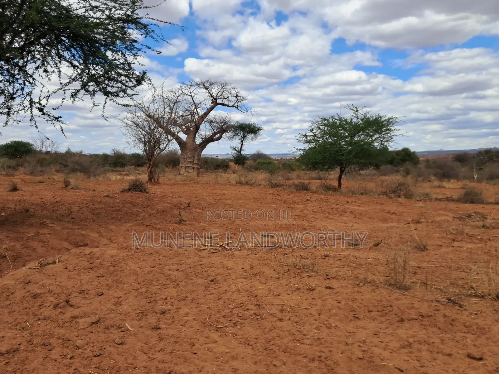 Embu County,Karura 8 Acres Agricultural Farmland.