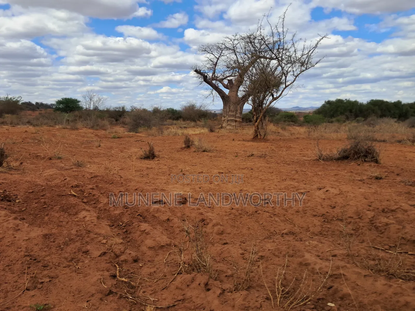 Embu County,Karura 8 Acres Agricultural Farmland.